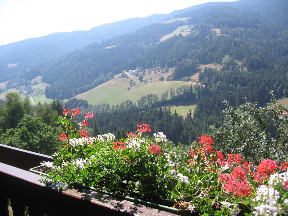 Bed and Breakfast Gerstbreinhof Бад-Санкт-Леонхард Экстерьер фото